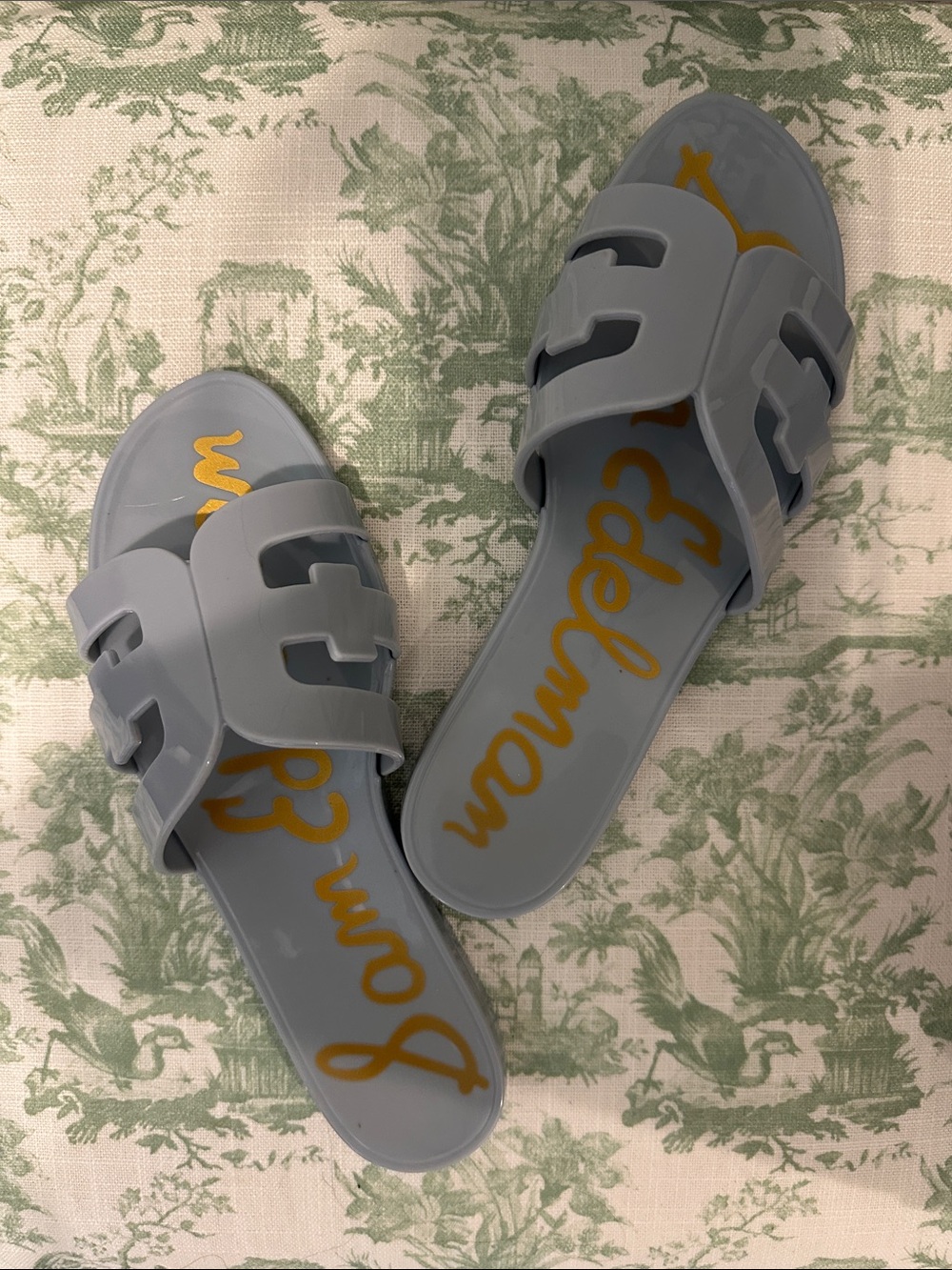 Sam Edelman Pale Blue Slide Sandals